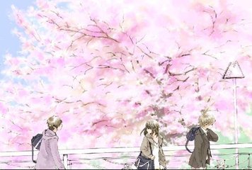 芒果tv禁区